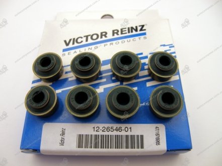 Комплект сальників клапанів Victor Reinz 12-26546-01 (фото 1)