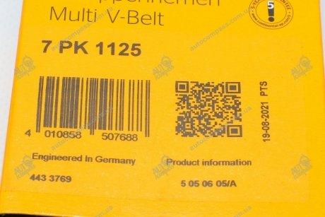 Ремень поликлиновый Contitech 7PK1125