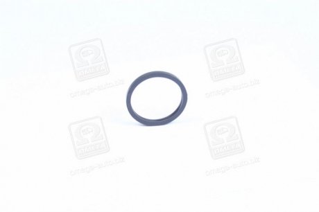 Уплотнительное кольцо термостата Parts Mall P1E-C003 (фото 1)