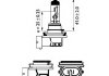 Лампа розжарювання H11 12V 55w PGJ19-2 H LongerLife Ecovision (вир-во) PHILIPS 12362LLECOC1 (фото 3)
