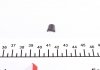 Сухар клапана OPEL/DAEWOO/CHEVROLET 7мм 1 канавка (вир-во) Febi 05106 (фото 1)