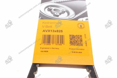 Клиновий ремінь Contitech AVX13X825