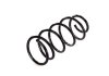 Пружина підв. Citroen Jumpy, Peugeot Expert передн. (вир-во) Kayaba RG1332 (фото 1)