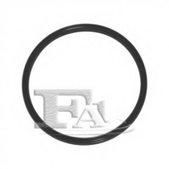 Уплотнительное кольцо/FPM 62,00 x 69,00 x 4,30 green FA1 (Fischer Automotive One) 076.386.100 (фото 1)