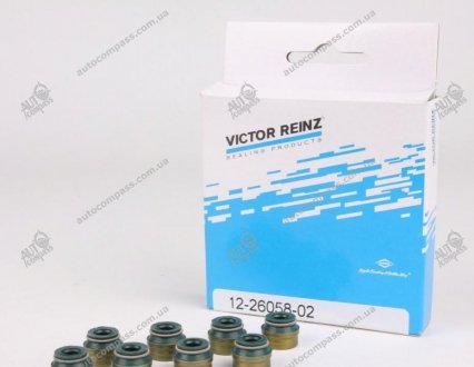 Комплект сальників клапану DIVERSE Victor Reinz 12-26058-02 (фото 1)