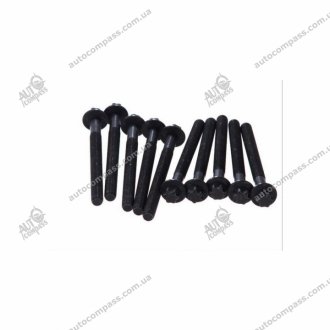 Комплект болтов ГБЦ Victor Reinz 14-32231-01