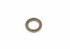 Уплотняющее кольцо, распределительный вал INA 413009510 (фото 2)