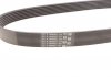 Ремень поликлиновой Contitech 7PK1104 (фото 4)