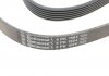 Ремень поликлиновой Contitech 6PK1564 (фото 4)