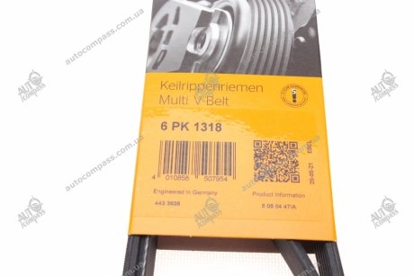 Пас привідний з довжиною кола понад 60см, але не більш як 180см Contitech 6PK1318