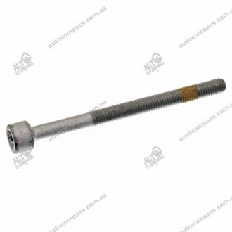 Термокомпенсационный болт форсунки SWAG 10928407