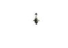 Лампа розжарювання H4 12V 60/55W P43t STANDARD blister 1шт (вир-во) NARVA 48881B1 (фото 2)