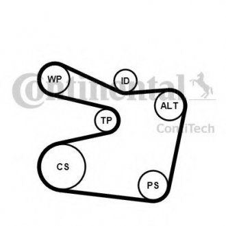 Комплект поліклиновий (ремінь+ролики) Contitech 6PK1555K2 (фото 1)