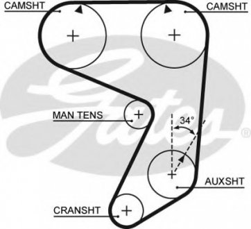 Ремінь ГРМ Gates 5081 (фото 1)