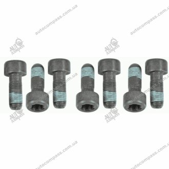 Комплект болтов, маховика Sachs 1874000054