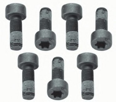 Комплект болтов маховика Sachs 1874000040 (фото 1)