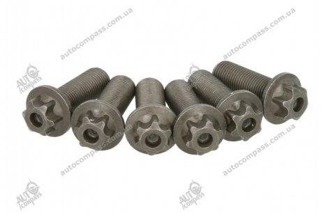 Комплект болтов маховика Sachs 1874000045 (фото 1)