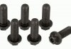 Комплект болтов маховика Sachs 1874000045 (фото 2)
