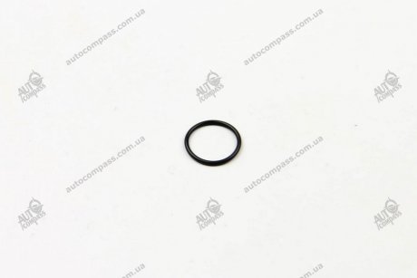 Уплотнительное кольцо Bosch F00VC38045 (фото 1)