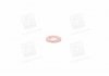Уплотнительное кольцо Bosch F00VP01004 (фото 1)