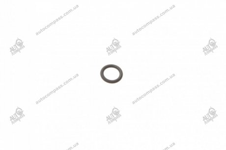 Уплотнительное кольцо Bosch 1928300718 (фото 1)