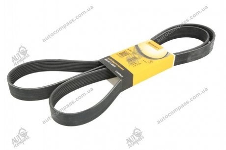 Ремінь поликлиновой Contitech 8PK1955