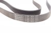 Ремінь полікліновий (Вир-во) Contitech 7PK1834 (фото 4)