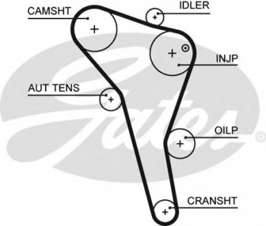 Ремень ГРМ Gates 5622XS (фото 1)