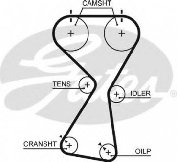 Ремень ГРМ Gates 5534XS (фото 1)