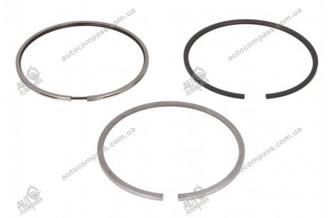 Кольца поршневые Mahle 030 48 N1