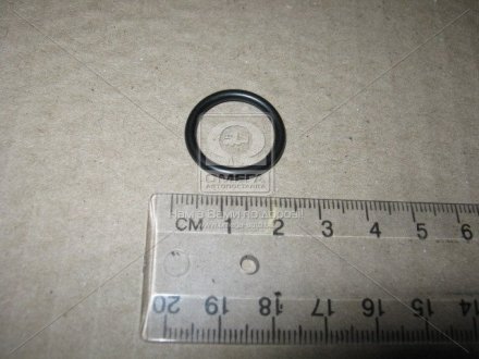 Кольцо форсунки Nissan 16618-8H800 (фото 1)