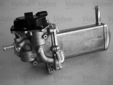 Радиатор рециркуляції ВГ Valeo 700439 (фото 1)