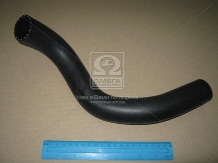Патрубок радиатора нижний MOBIS 254122F800 (фото 1)