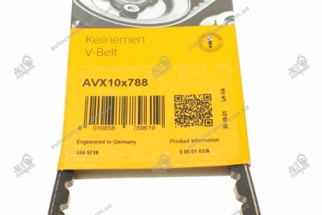 Клиновой ремень Contitech AVX10X788