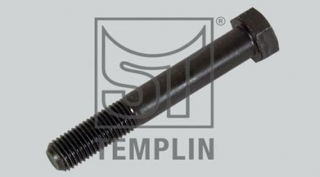 Болт ST-TEMPLIN 18.050.9020.260