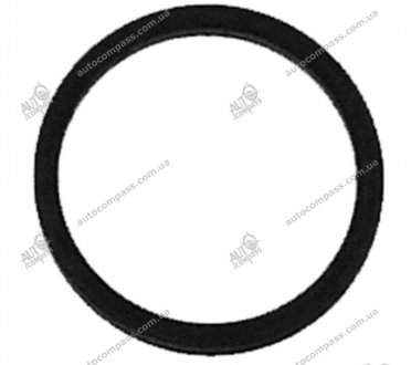 Уплотнительное кольцо, клапанная форсунка JP GROUP 1115550900 (фото 1)