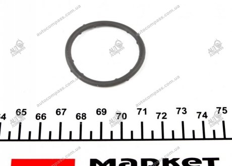 Уплотнительное кольцо термостата Elring 828.963 (фото 1)