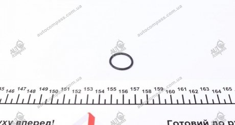 Уплотнительное кольцо, резьбовая пробка маслосливн. отверст. Victor Reinz 40-76041-20 (фото 1)