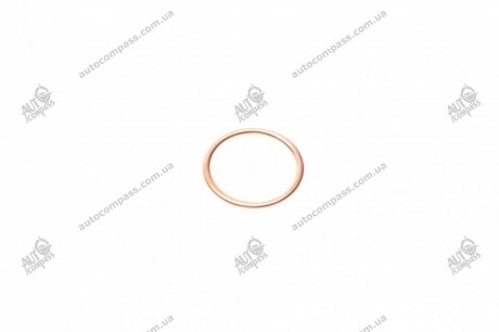 Уплотнительное кольцо, резьбовая пробка маслосливн. отверст. Victor Reinz 41-72065-30 (фото 1)