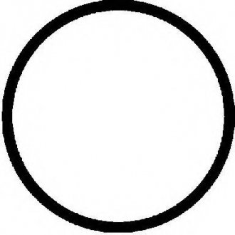 Прокладка, головка цилиндра Victor Reinz 61-23455-00