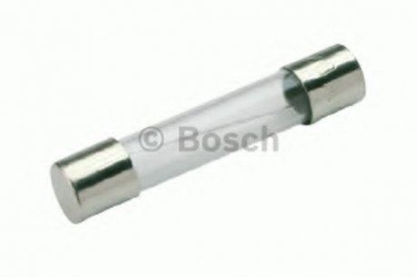 ПРЕДОХРАНИТЕЛЬ СТЕКЛ.10А Bosch 1987529902 (фото 1)