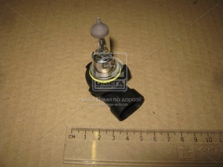 Лампа накаливания HB4 12V 51W P22d RANGE POWER +50 NARVA 48086C1 (фото 1)