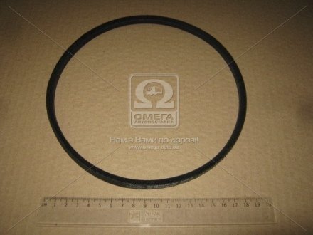 Ремінь (Z(О)-630) (вир-во) Rubena Z 630