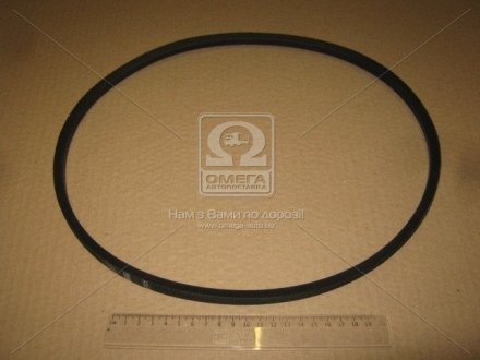 Ремень Rubena A 975