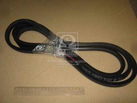 Ремінь (ВБ-2950) (вир-во) Rubena B 2950