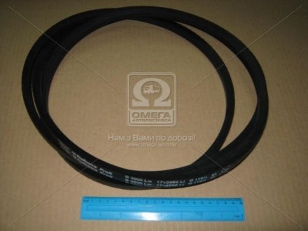 Ремінь B 3000 (ВБ-3000) (вир-во) Rubena В 3000