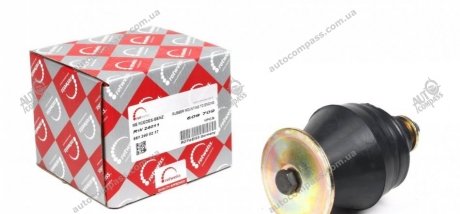 Опора двигуна ROTWEISS RW24011