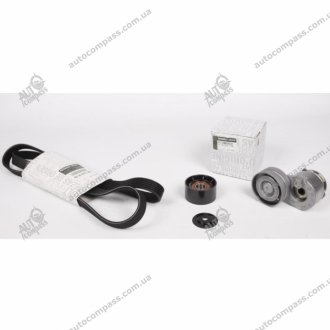 Комплект ременя генератора з натягувачем та роликом 1.9dCi Master II, Trafic II, Laguna II (+AC) Renault 117200713R