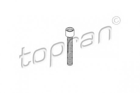 Болт кріплення ШРУСа TOPRAN 104306 (фото 1)