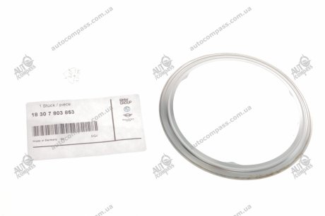 Прокладка BMW 18307803853 (фото 1)